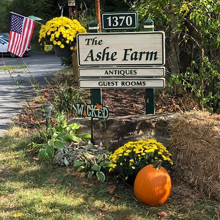 The Ashe Farm Bed and Breakfast Marshall Buitenkant foto